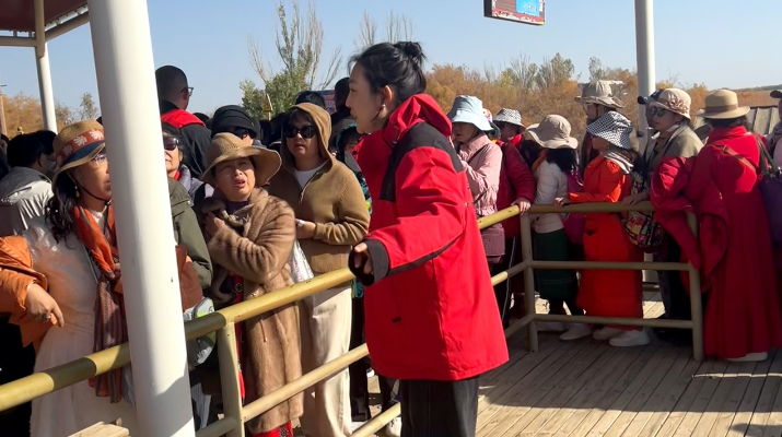 202410171729125230720265.png 圖片4_副本.png