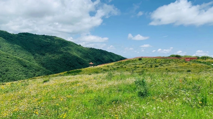 202504021743556973106809.jpg 微信圖片_20250402091938.jpg