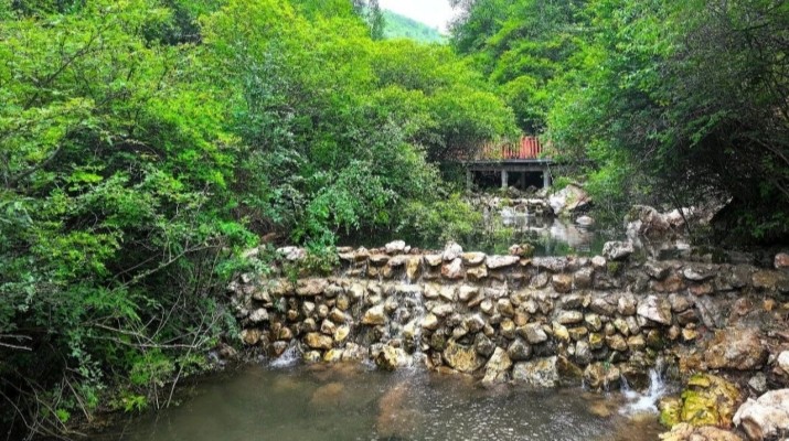 202507211753057687119946.jpg 微信圖片_2025-07-21_082650_721.jpg