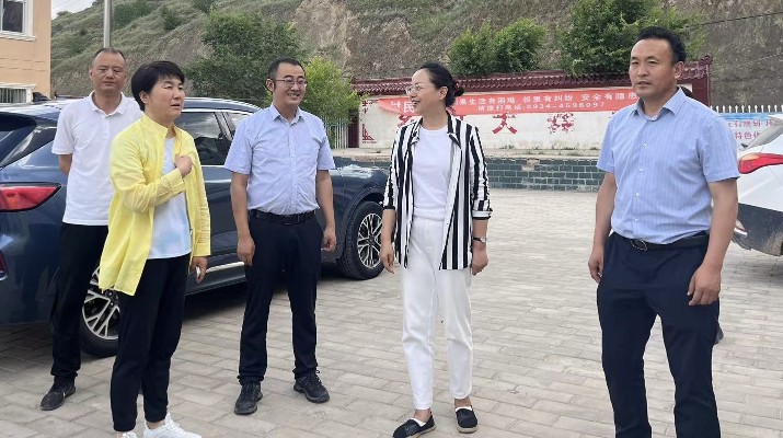 馬文玫總經理調研指導集團鄉(xiāng)村振興駐村幫扶工作
