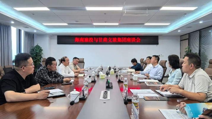 精準(zhǔn)對標(biāo) 取長補短丨集團黨委書記、董事長石培文帶隊赴海南考察學(xué)習(xí)